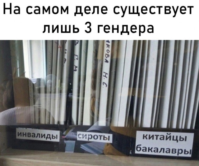 Так себе картинки 19.07.22