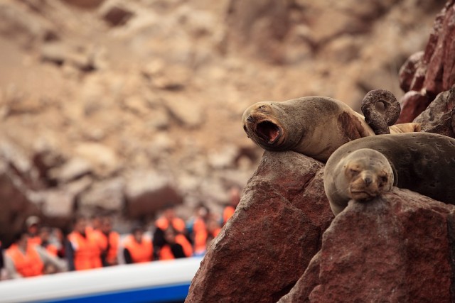 Южно-Американский дневник. Перу.