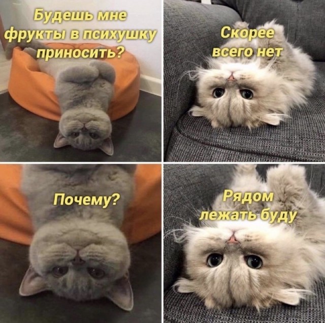 Баянисто-небаянистый юмор 24.10.22