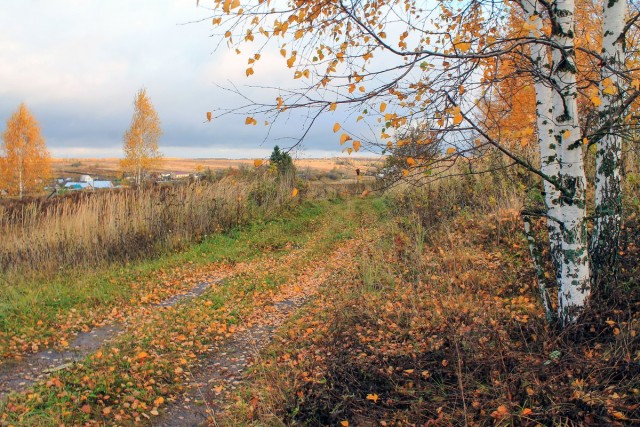 Поздней осенью в деревне
