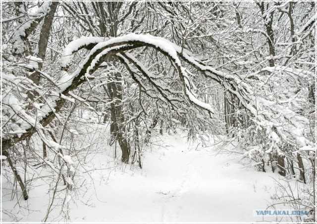 Крым. Терновка. Зимние дороги.