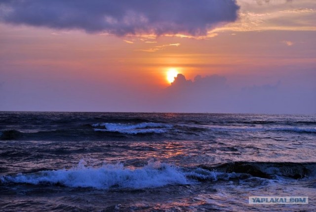 ГоА свои впечатления