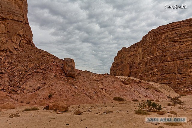 Синайские приключения. Шарм-эш-Шейх и окресности