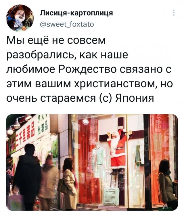 Победная поступь идиотизма по планете – том 4