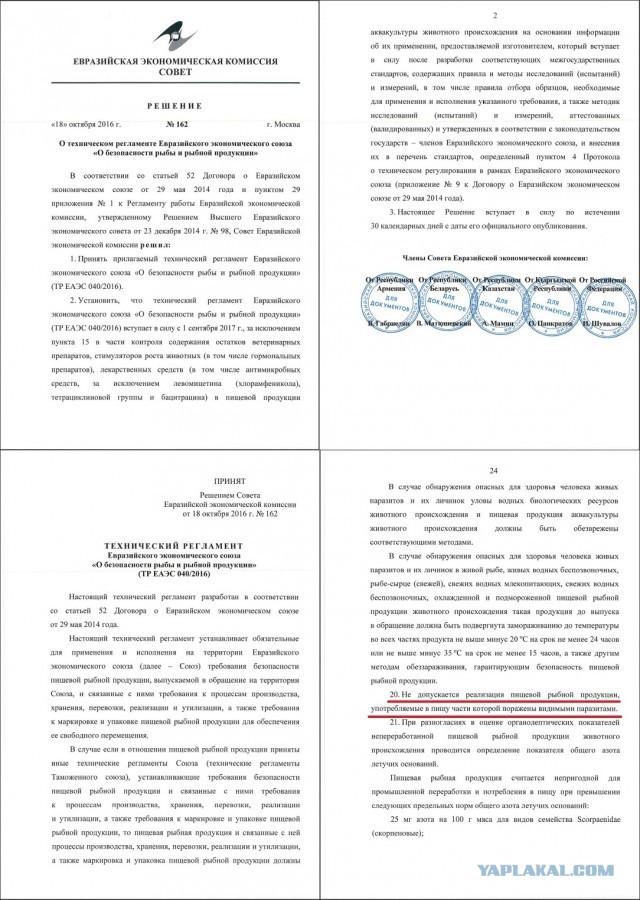 В Красноярске мужик нашёл червей в рыбе, но продавец сказал, что это нормально