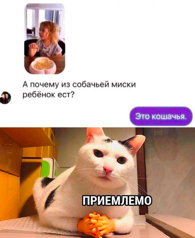 Так себе картинки 18.02.23