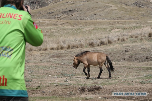 В Монголию на мотоциклах 2006