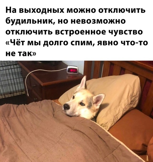 Немного картинок для настроения - 153