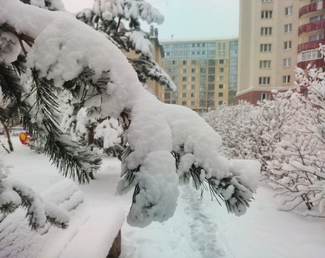 И у нас весна!