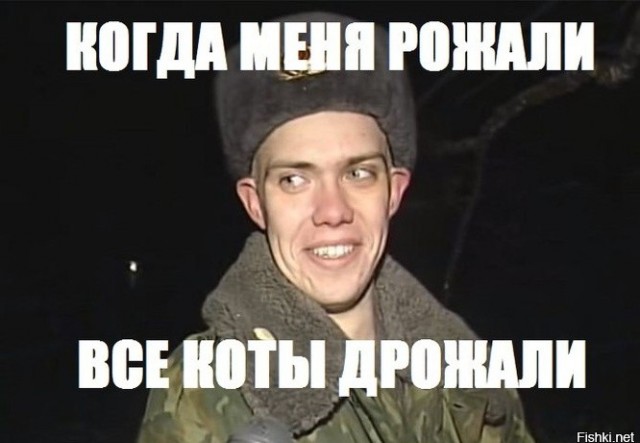 Жители Зеленограда организовали спецоперацию по спасению котёнка, который не мог слезть с дерева