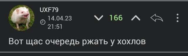Ворота не закрывайте, вам повесточка