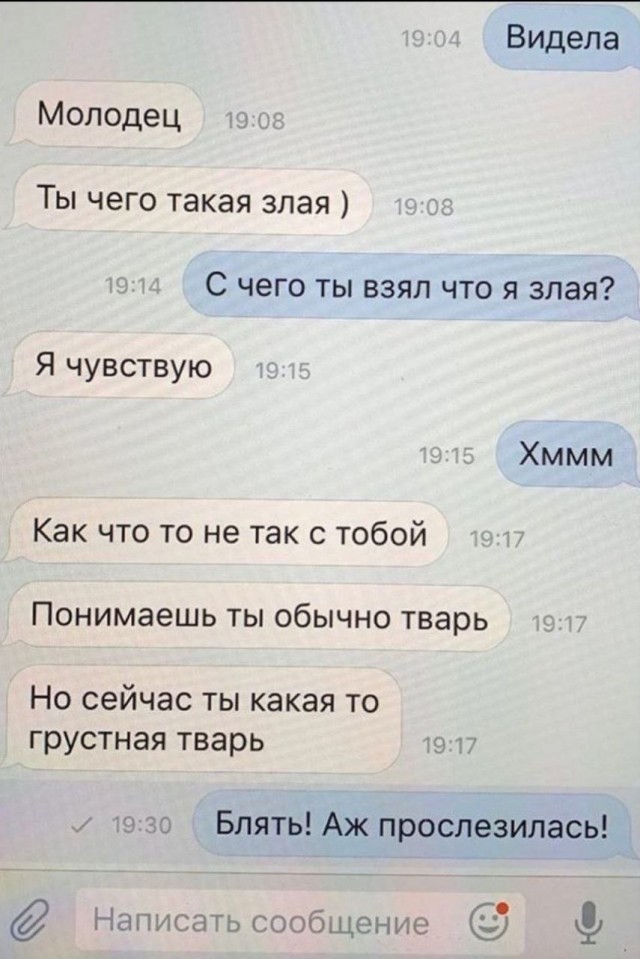 Весёлый полтишок 07.08.23