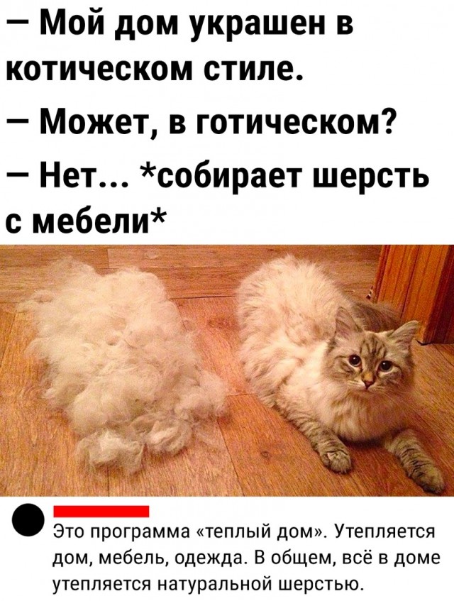 Так себе картинки 09.10.23