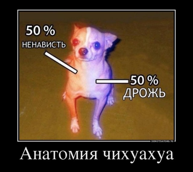 Будни ветеринаров