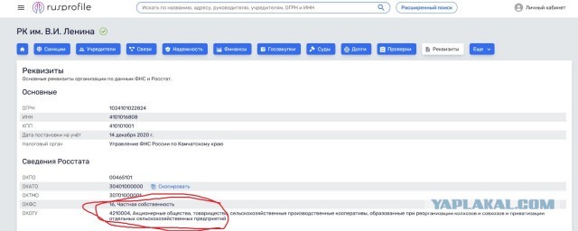 Синюю или красную, какую выберешь ты?