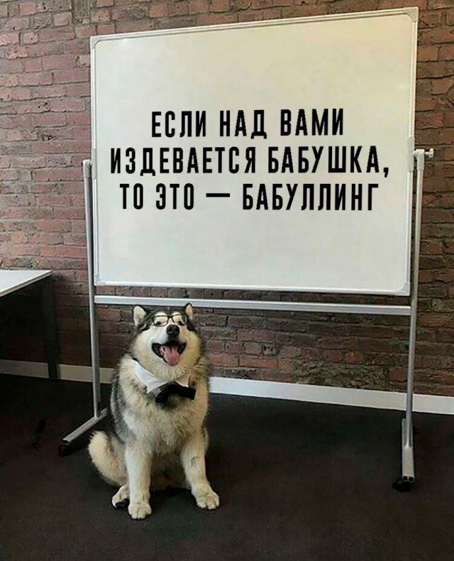 Так себе картинки 17.01.24