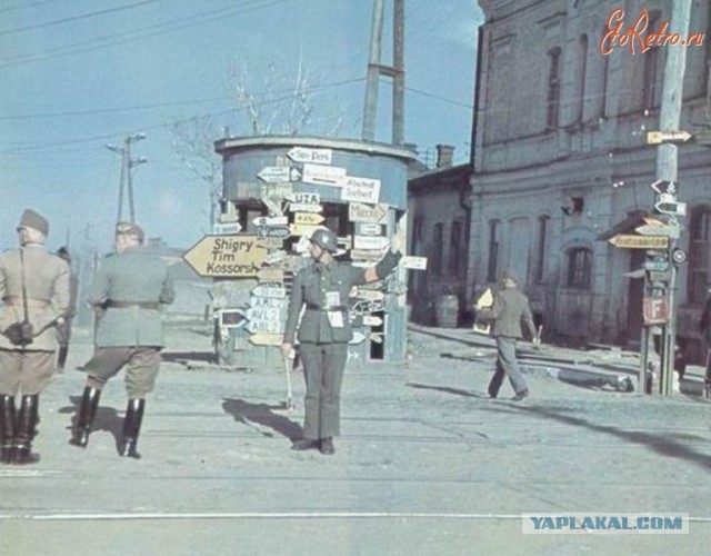 Кто воевал на стороне Гитлера