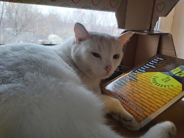 Сборник рассказов ЯПовских авторов. Обсуждение проблемы.