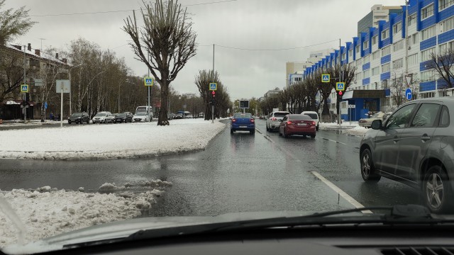 Это май баловник, это май чародей...