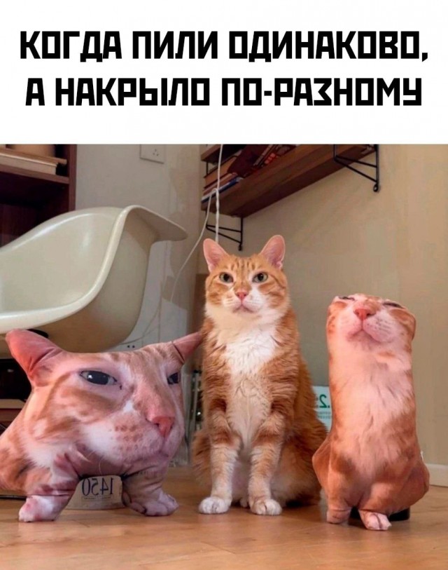Нуштош 30.05.2024