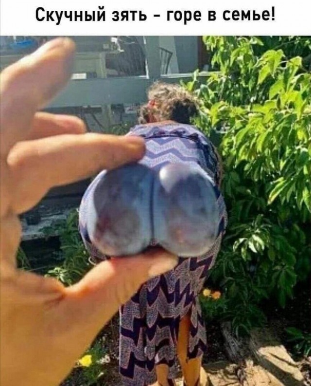 Вот будет лето — Поедем на дачу!