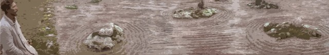 Клумба во дворе 2024 лето