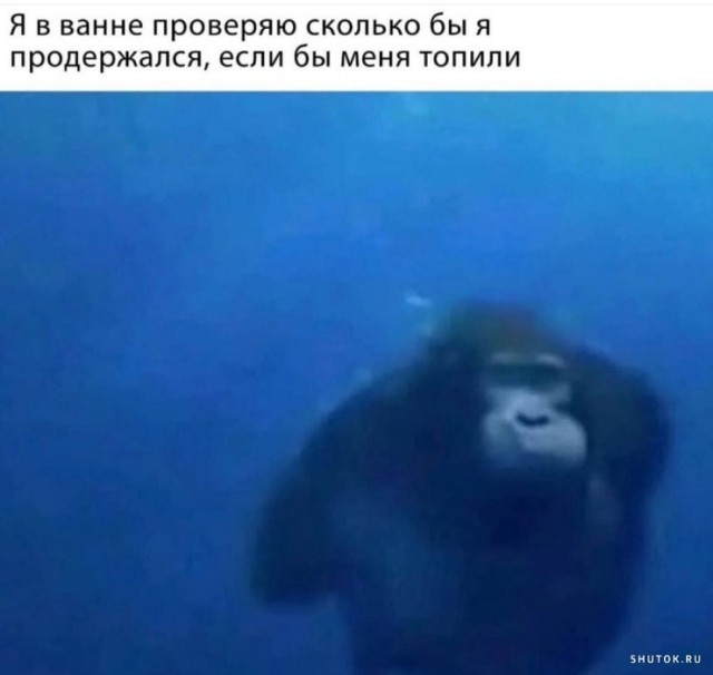 Завалялось тут случайно немного забавных картинок