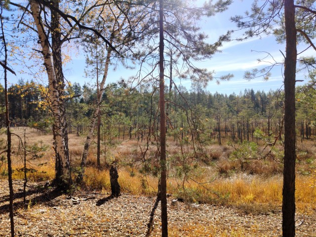 Осень на озёрах 2