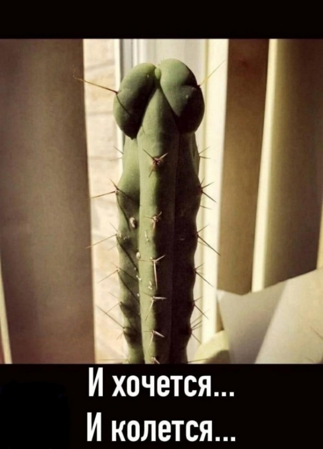 Нуштош 17.10.2024
