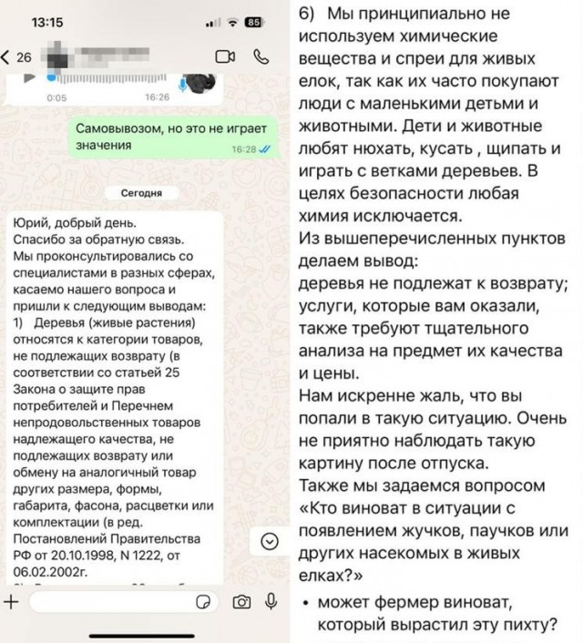 Семья москвичей вынужденно оставила квартиру на два дня из-за паутинных клещей в новогодней датской ёлке.