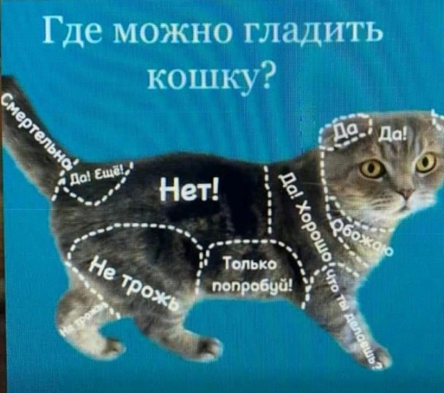 Прикольные и просто красивые картинки 06.05.2025