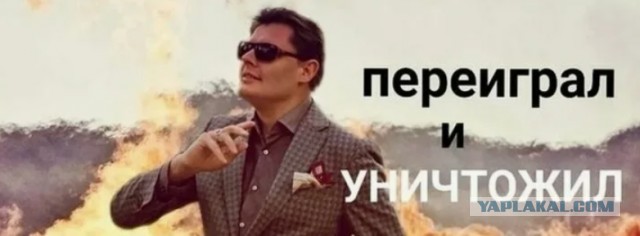 Сиськи