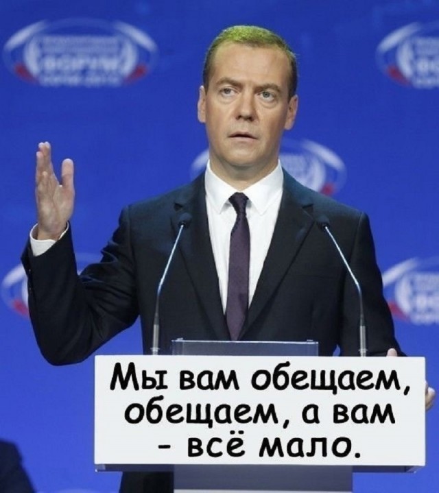 20178574.jpg