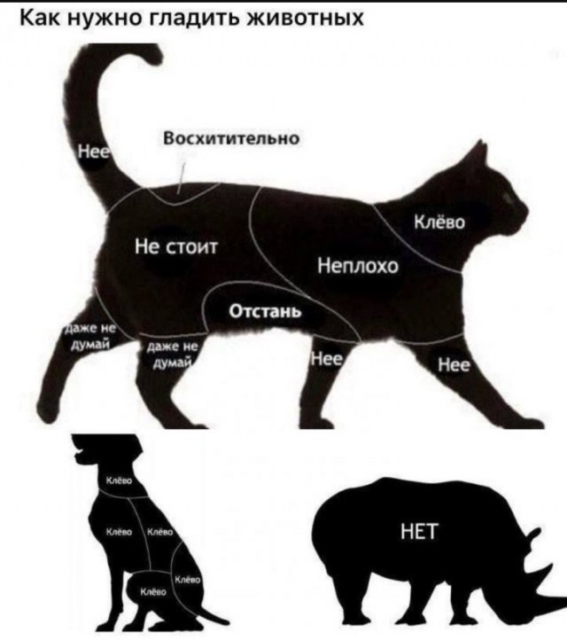Завалялось тут случайно немного забавных картинок