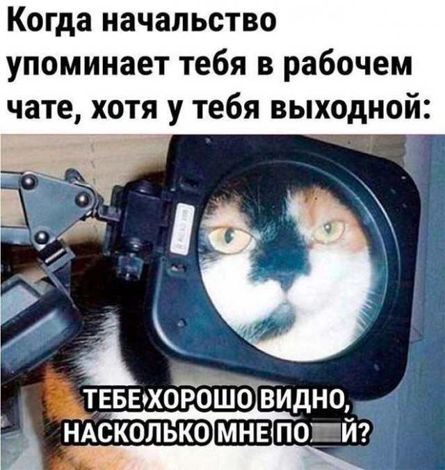 Картинки для деградации 46 (разной степени свежести)