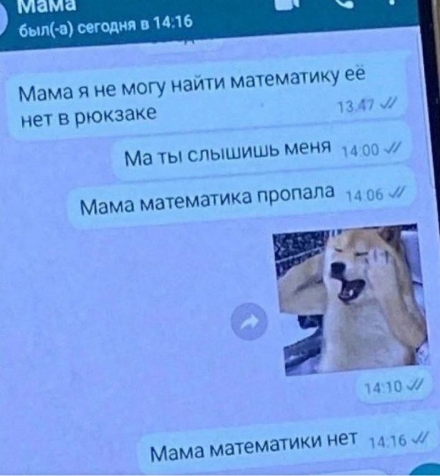 Картинки для деградации 49 (разной степени свежести)
