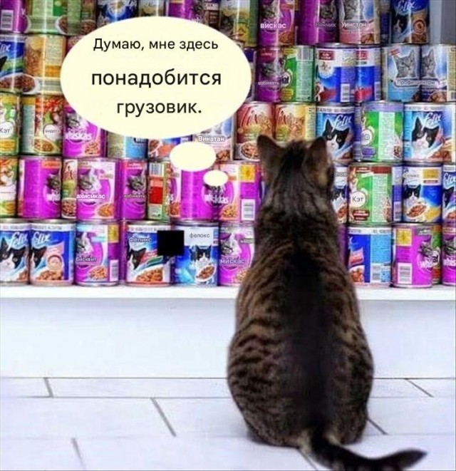 Подборка картинок-баянов с котиками и про котиков. Выпуск 21