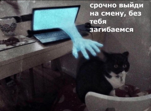 Картинки для деградации 88 (разной степени свежести)
