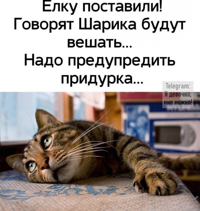 Разной свежести картинки