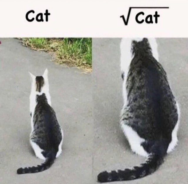 Околонаучный дегрономикон