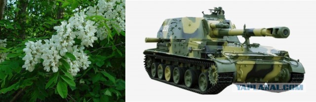 Русское оружие - оружие добра и радости!