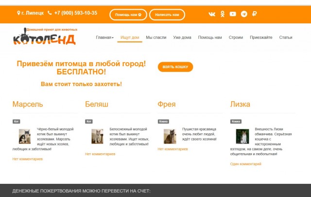 Жизнь домашнего приюта "Котоленд" 524. Нам сегодня 10 лет!