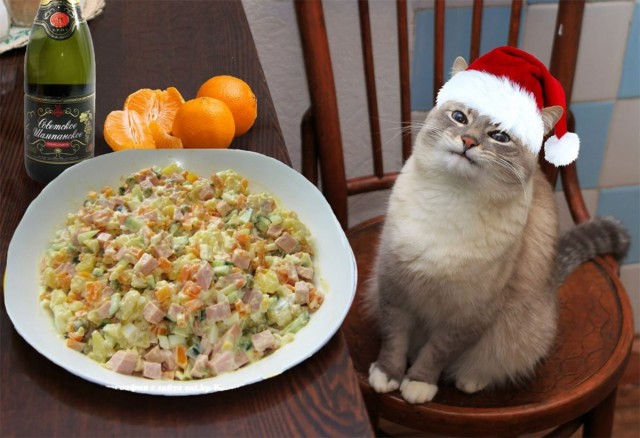 Оливье нельзя есть с водкой и полусладким шампанским