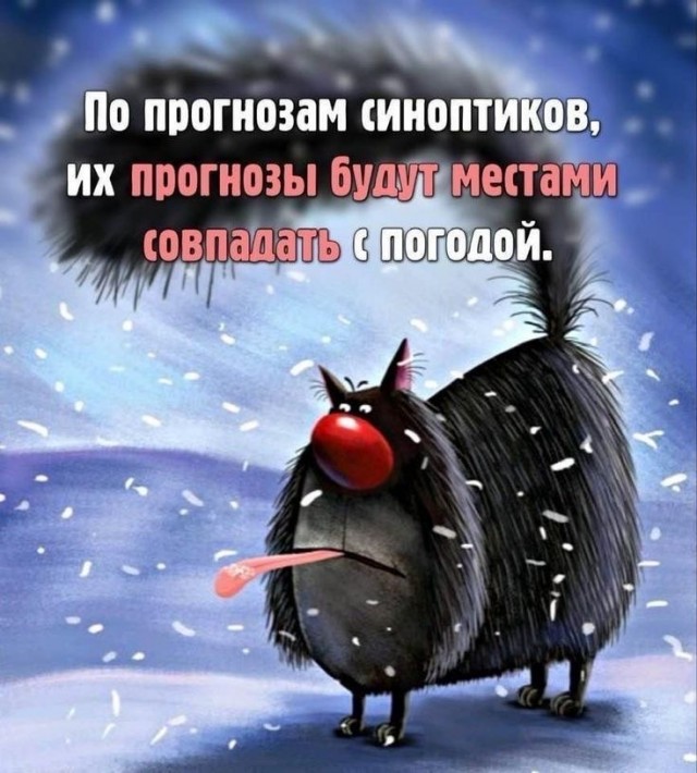 Прикольные и просто красивые картинки 16.01.2026