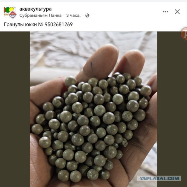 Вот так вернуть нормальный шрифт на ЯП