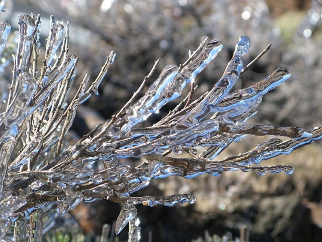 Ледяной дождь 03.05.24 (Лен.обл)