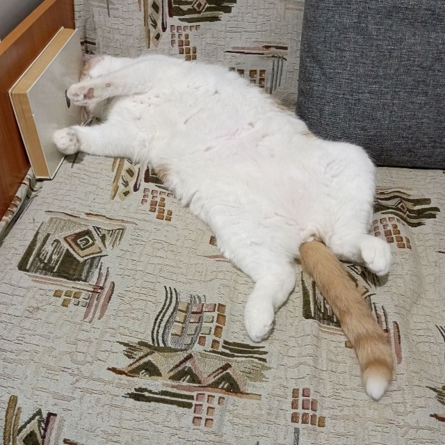 Котское.