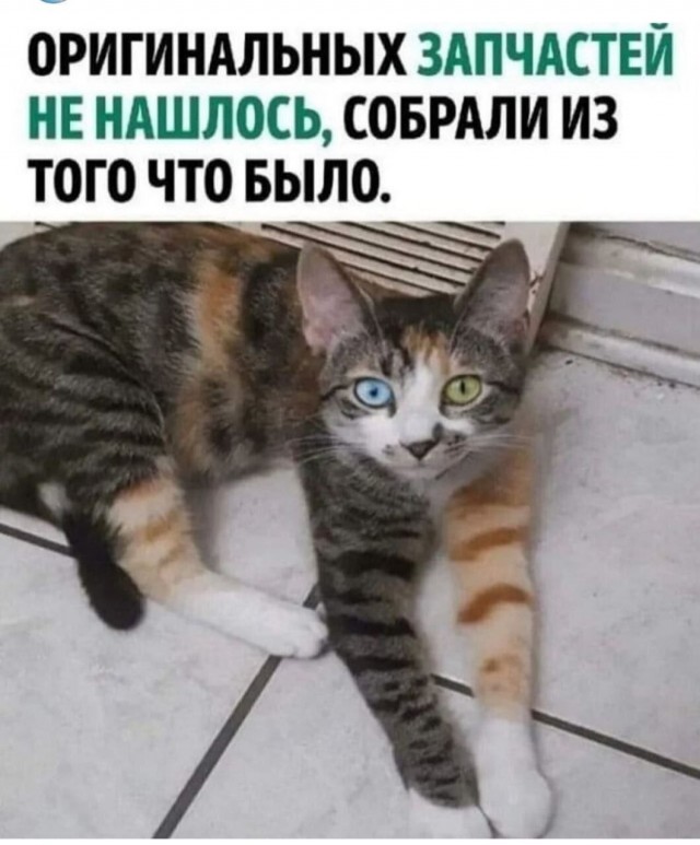 Картинки для деградации 255 (разной степени свежести)