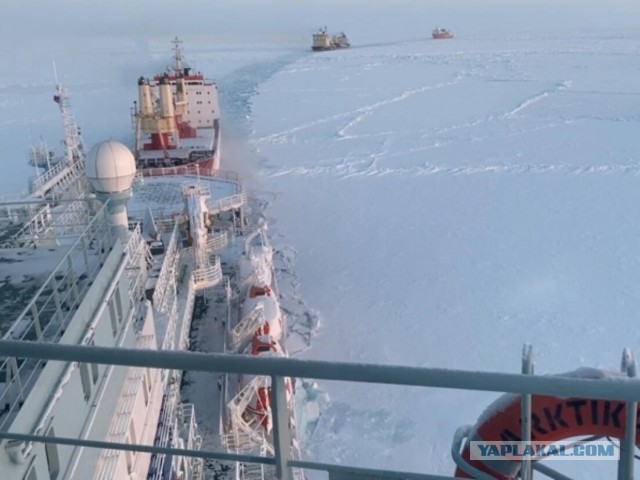 Мурманск принял первый контейнеровоз из Китая, пришедший по Северному морскому пути