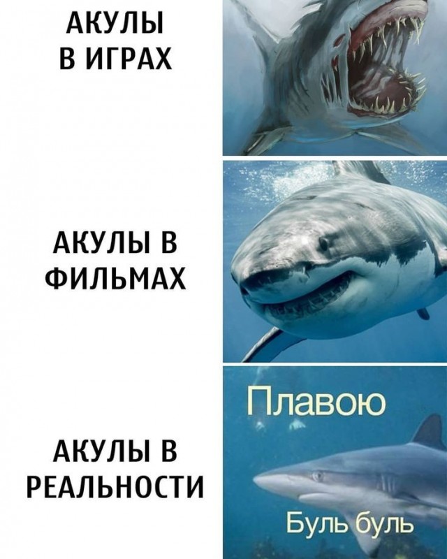 Фильм на вечер. Про акул.